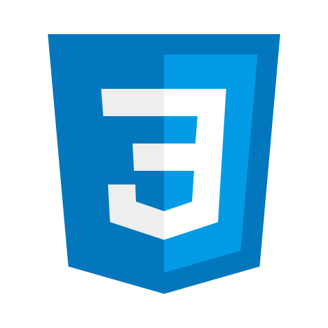 css skill